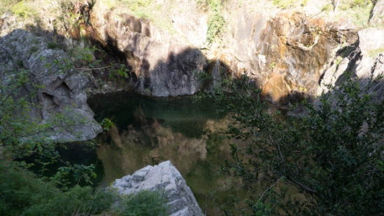 P1650770.jpg