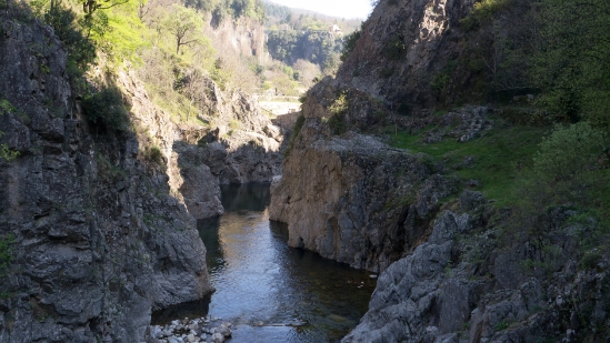 P1650779.jpg
