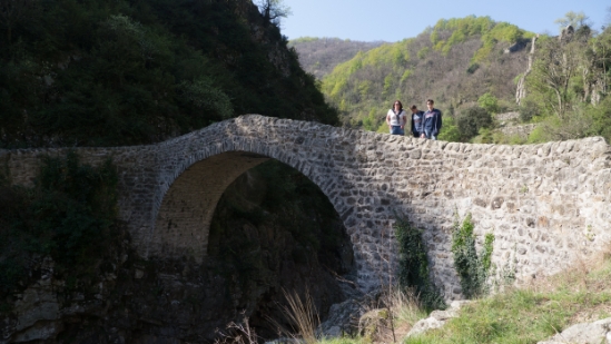 P1650785.jpg
