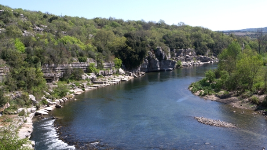 P1650847.jpg