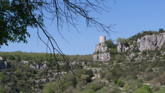 P1650867.jpg