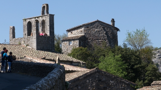 P1650872.jpg