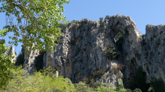 P1650911.jpg