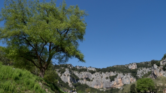 P1650945.jpg