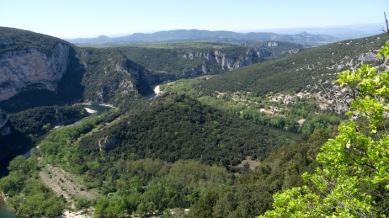 P1650973.jpg