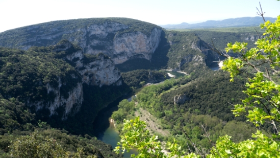 P1650974.jpg