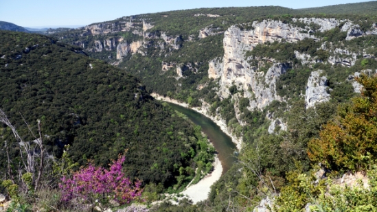 P1650984.jpg