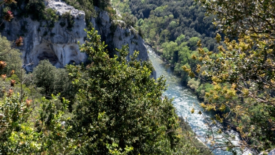 P1650991.jpg