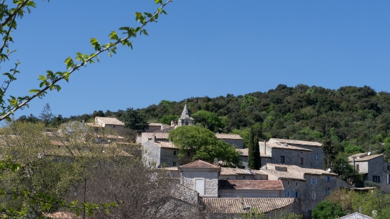 P1660005.jpg