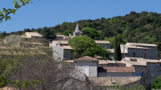 P1660007.jpg