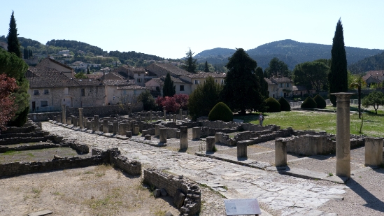 P1660037.jpg