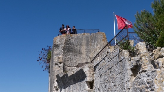 P1660395.jpg