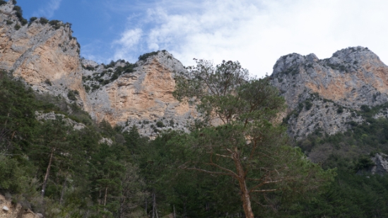 P1660925.jpg