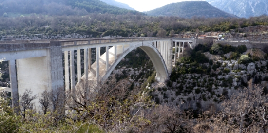 P1660991.jpg