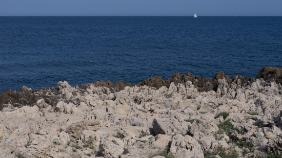 P1670265.jpg