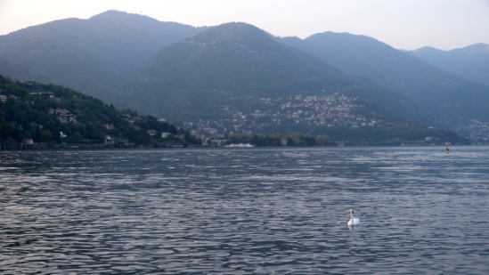 P1680080.jpg