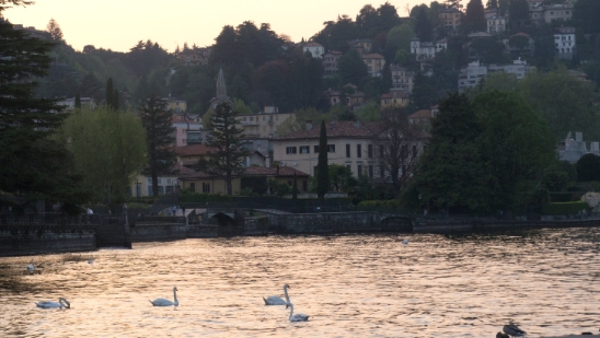 P1680084.jpg