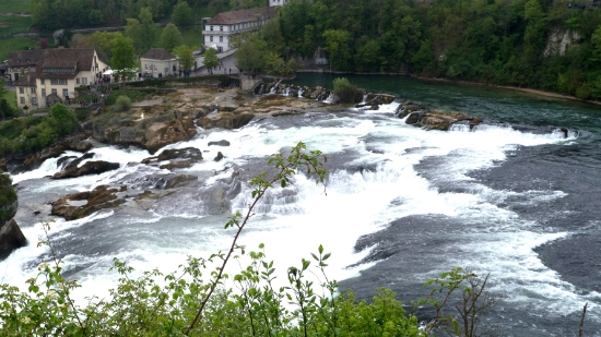 P1680293.jpg