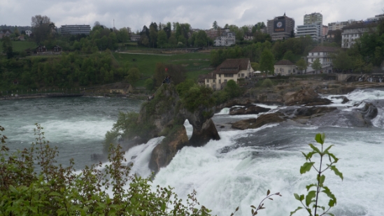 P1680339.jpg