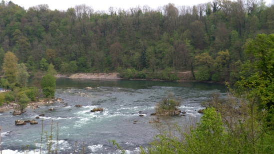 P1680461.jpg