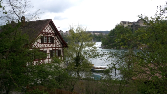 P1680474.jpg
