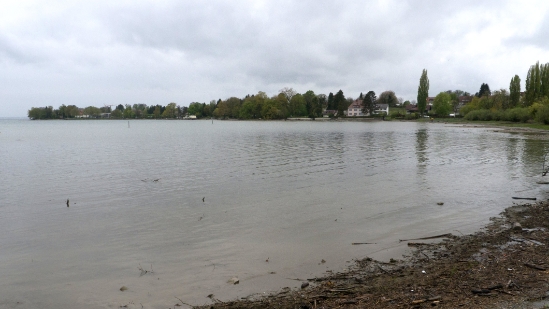 P1680636.jpg