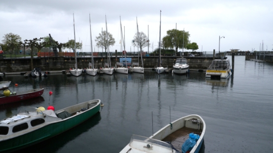 P1680640.jpg