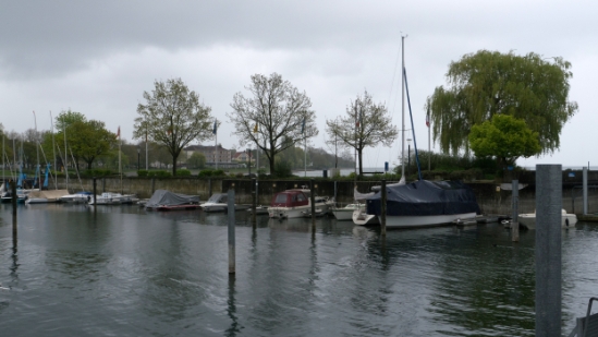 P1680642.jpg
