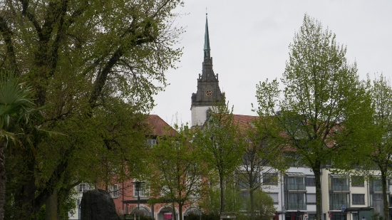 P1680685.jpg