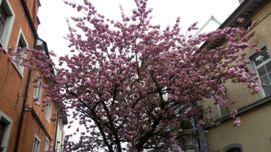 P1680744.jpg