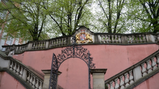 P1680763.jpg