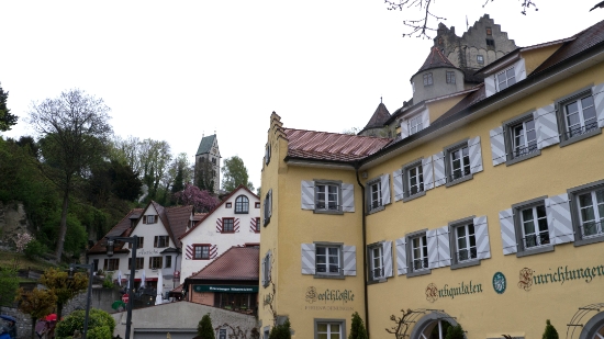 P1680809.jpg