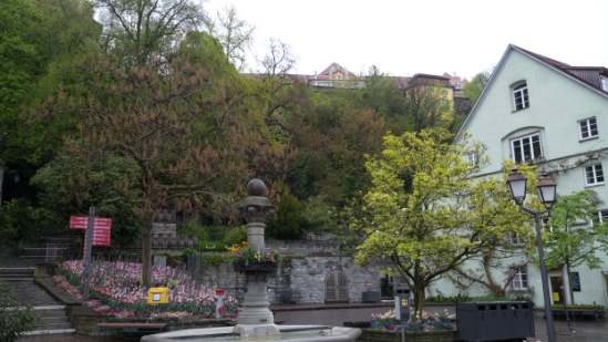 P1680813.jpg