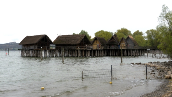 P1680845.jpg