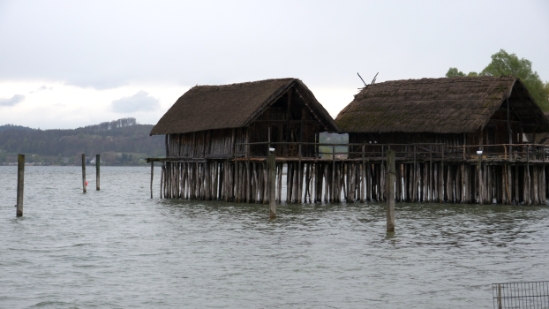P1680846.jpg
