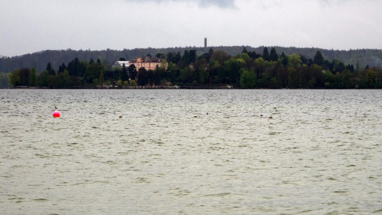 P1680854.jpg