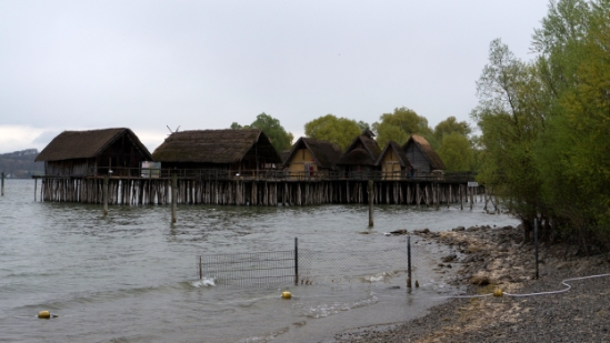 P1680855.jpg