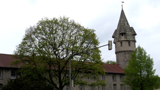 P1680941.jpg