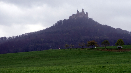P1680981.jpg