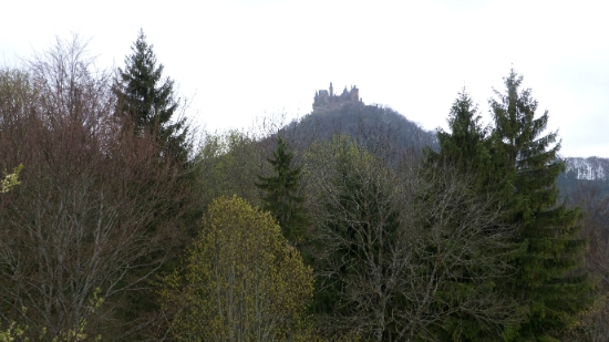 P1680993.jpg