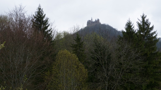 P1680994.jpg