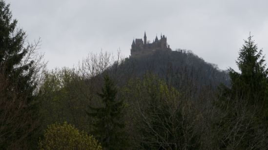 P1680995.jpg