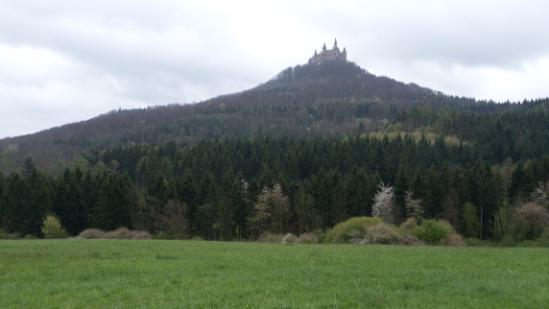P1690015.jpg