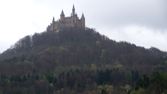 P1690017.jpg
