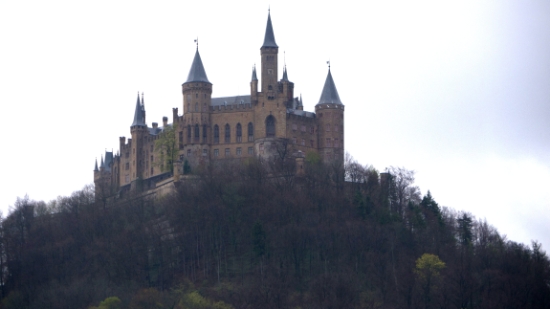 P1690018.jpg