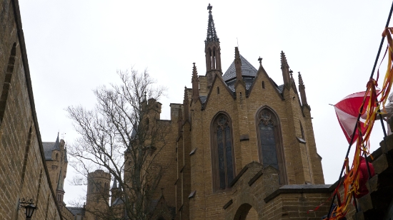 P1690046.jpg