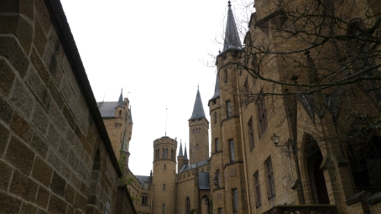 P1690048.jpg