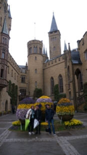 P1690069.jpg