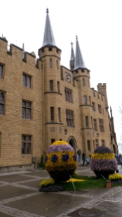 P1690077.jpg
