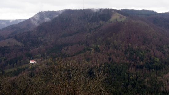 P1690134.jpg